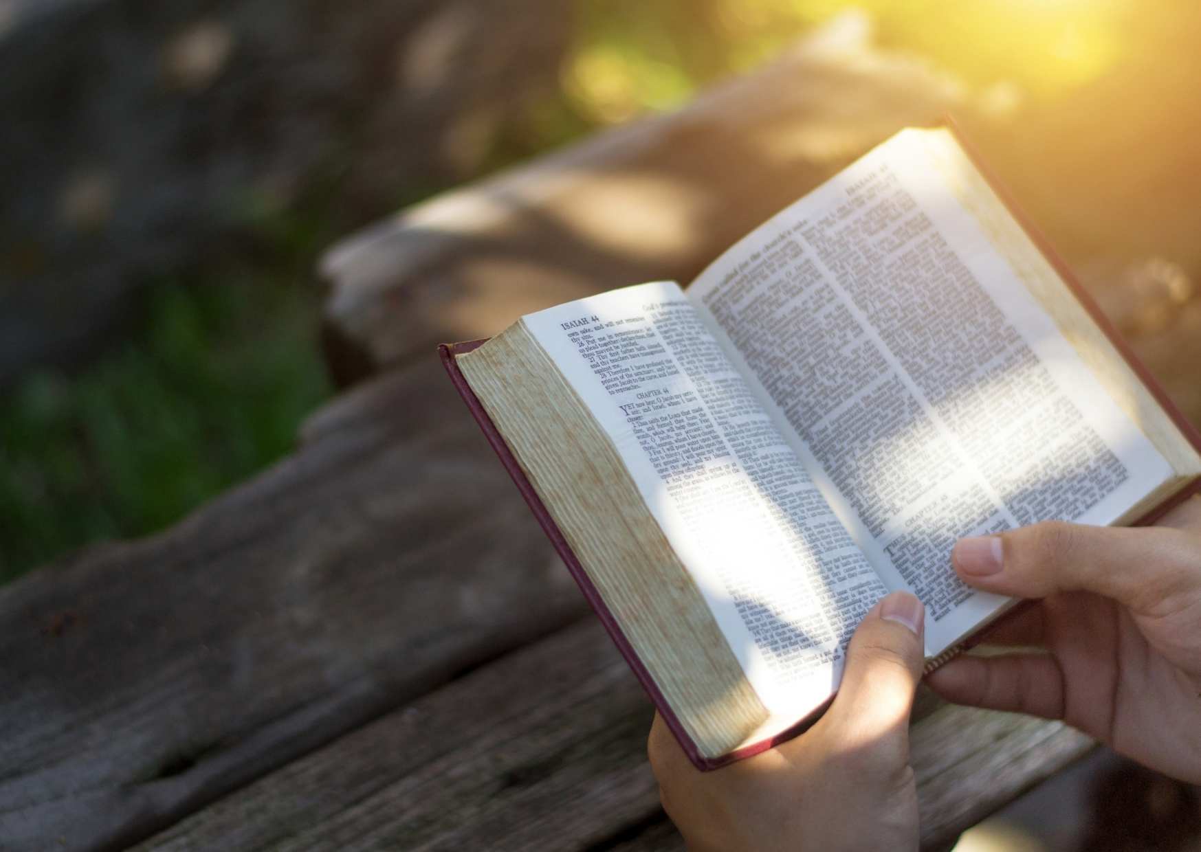 Comprendre le mot chair dans la Bible CONNAITRE LA BIBLE