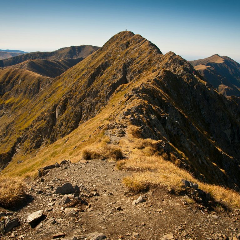 urban-vintage-T1-nZX0OPvI-unsplash