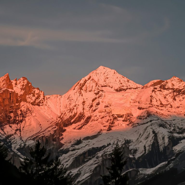 willian-justen-de-vasconcellos-53KAQ8SbUMI-unsplash