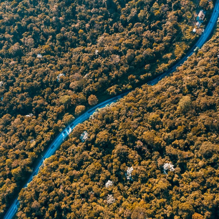 willian-justen-de-vasconcellos-BRr_dewI3JA-unsplash