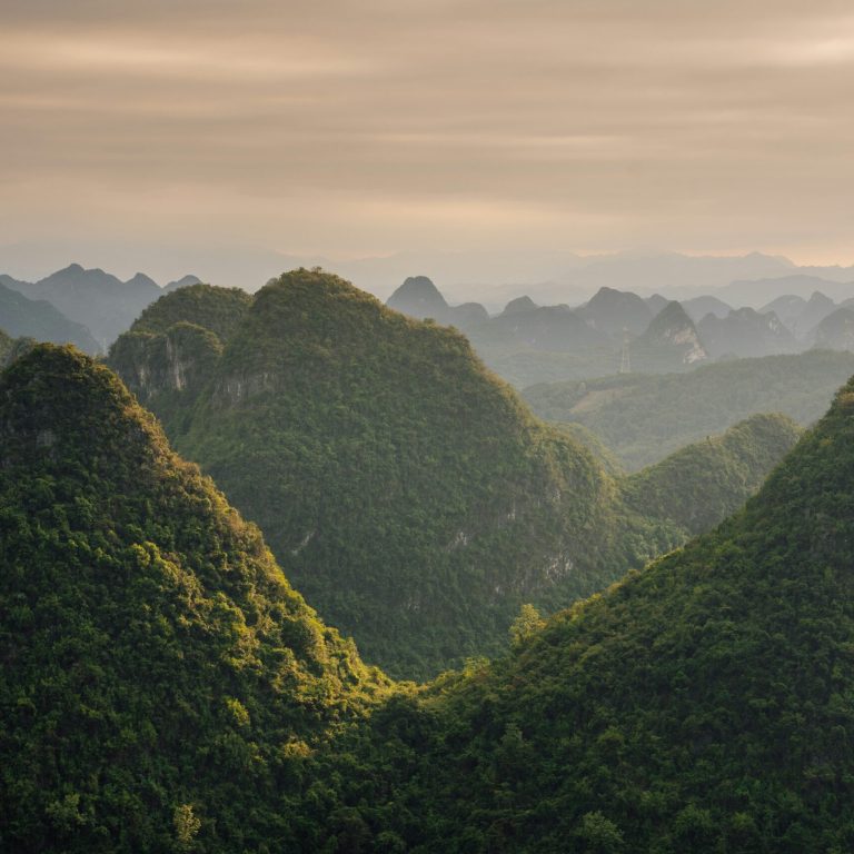 willian-justen-de-vasconcellos-hBEIZOrIpRs-unsplash