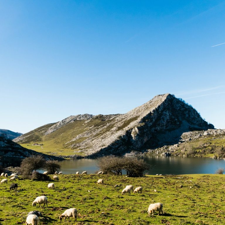 willian-justen-de-vasconcellos-uewFv0SEIEM-unsplash